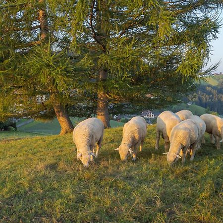Vegan Health Hotel Sonnenberg Glutenfrei Schwellbrunn المظهر الخارجي الصورة