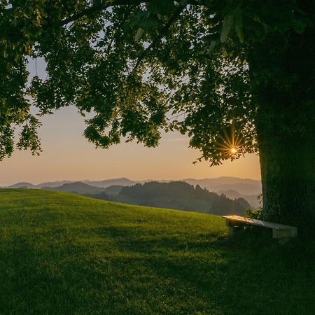 Vegan Health Hotel Sonnenberg Glutenfrei Schwellbrunn المظهر الخارجي الصورة